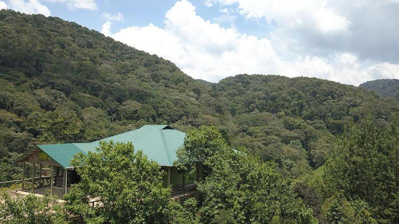 Gorilla Hills Eco-Lodge Kisoro Exterior foto