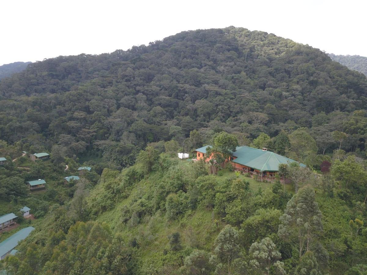 Gorilla Hills Eco-Lodge Kisoro Exterior foto